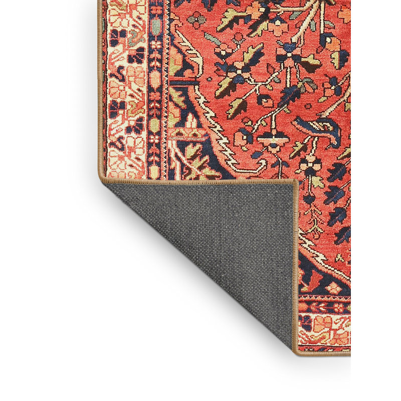 Vanalstyne Performance Oriental Indoor Rug, Rectangle 2' x 4'