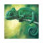 You Can't See Me by Christopher Clark - Wrapped Canvas Painting-202430692