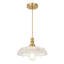 Luminaire suspendu 1 lumière Junathean