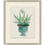 Aloe Pot 8 Print