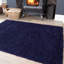 Amarachukwu Solid Colour Shag Area Rug-1050173261