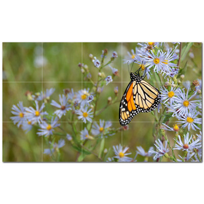 Butterfly Photo 12'' x 12'' Satin Ceramic Decorative Mural -  Picture-Tiles.com, PT500292-53XL