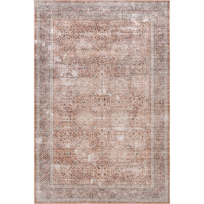 Xenia Faded Transitional SplashGuard Machine Washable Area Rug