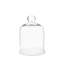 Glass Bell Jar