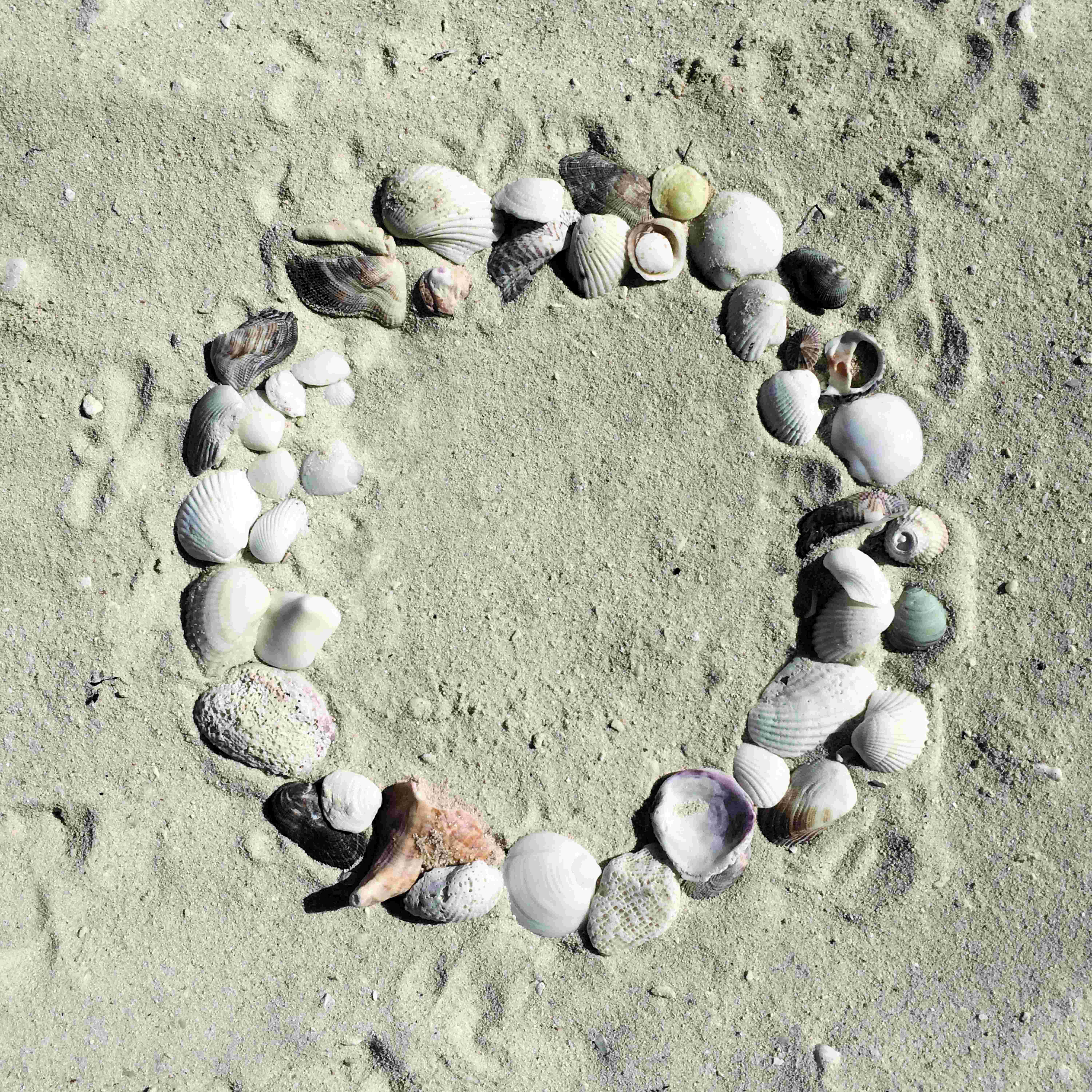 Highland Dunes Shell Wreath - Wrapped Canvas Photograph | Wayfair