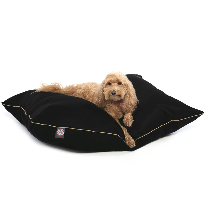 Coussin Super Value, Noir, Moyen (l 35 po x P 28 po x H 7 po) ;
