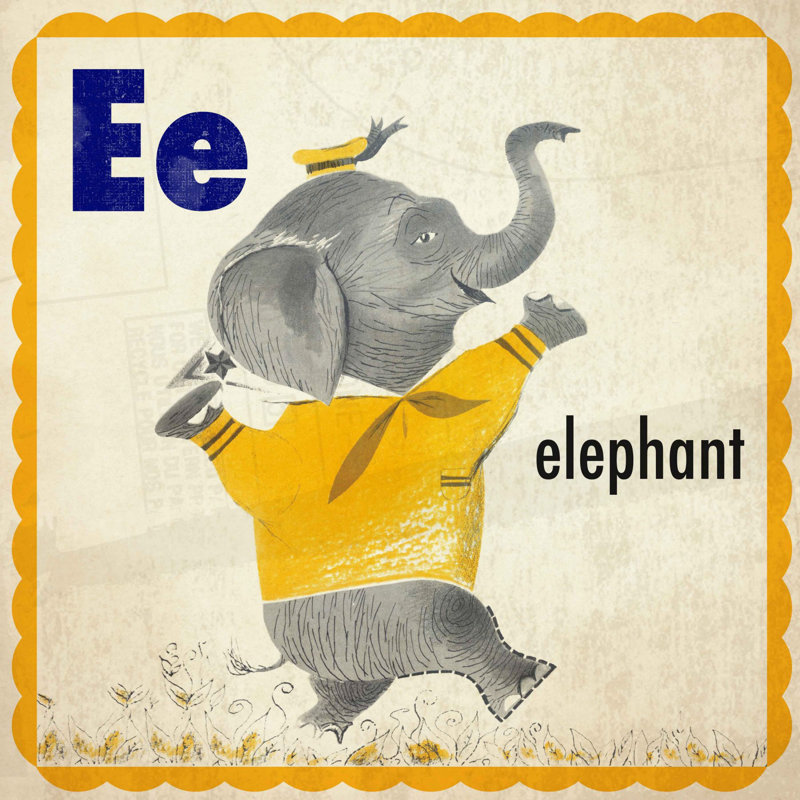 Elephant - Wrapped Canvas Print, 46cm H x 46cm W