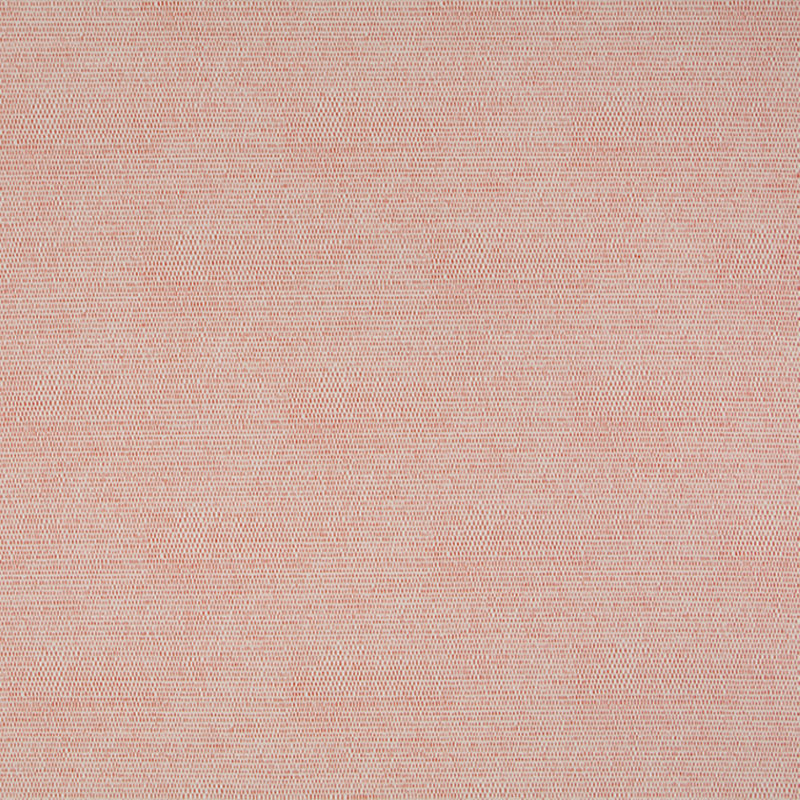 Tissu apostrophe, Tomate