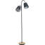 Suraiya 160cm Matte Task Floor Lamp