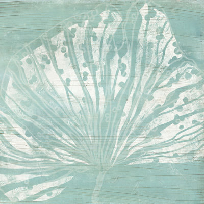 «Cerulean Sea Coral III» par June Erica Vess - reproduction d'art sur toile tendue