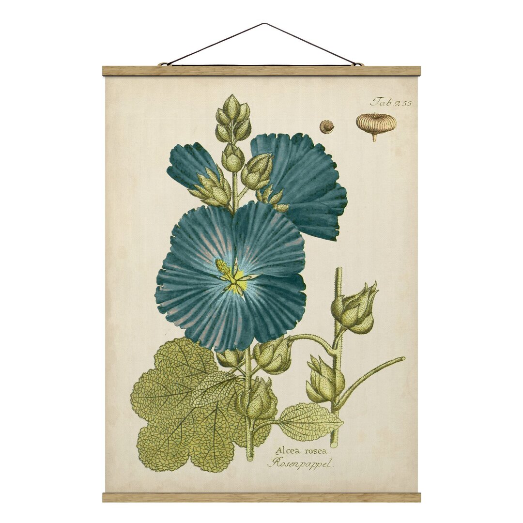 Wandbild Vintage Botanik in Blauer Rosen-Pappel