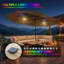 15 pi Double parasol solaire de patio-785967802