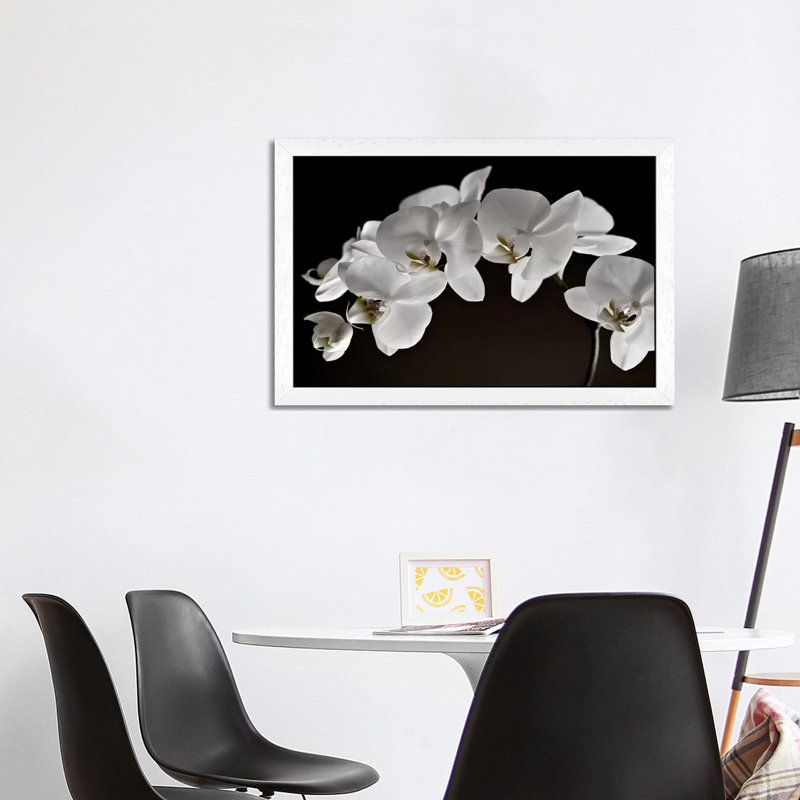 Orchids - Floater Frame Print on Canvas, 66.04 cm H x 45.72 cm W, White
