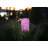 Stella Tassel 28.5" Cylinder Solar Lantern - Raspberry-123844736-123844737