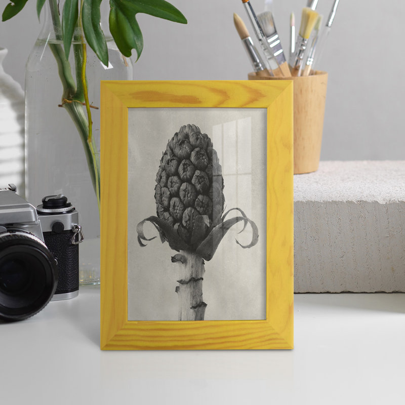 Blossfeldt Botanical IV - reproduction d'un seul cadre photo, H 8 po x l 6 po x P 1 po, Jaune