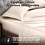 Taie d'oreiller en satin de coton égyptien certifié Luxury Luxury-1924255936-1924255961