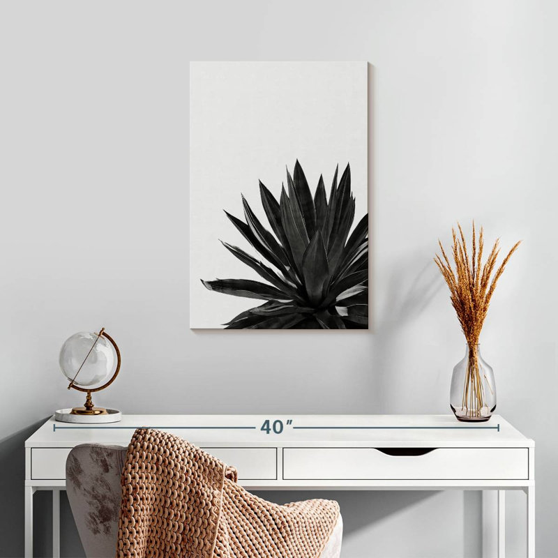 Harnek Agave Cactus BW, 24" H x 16" W