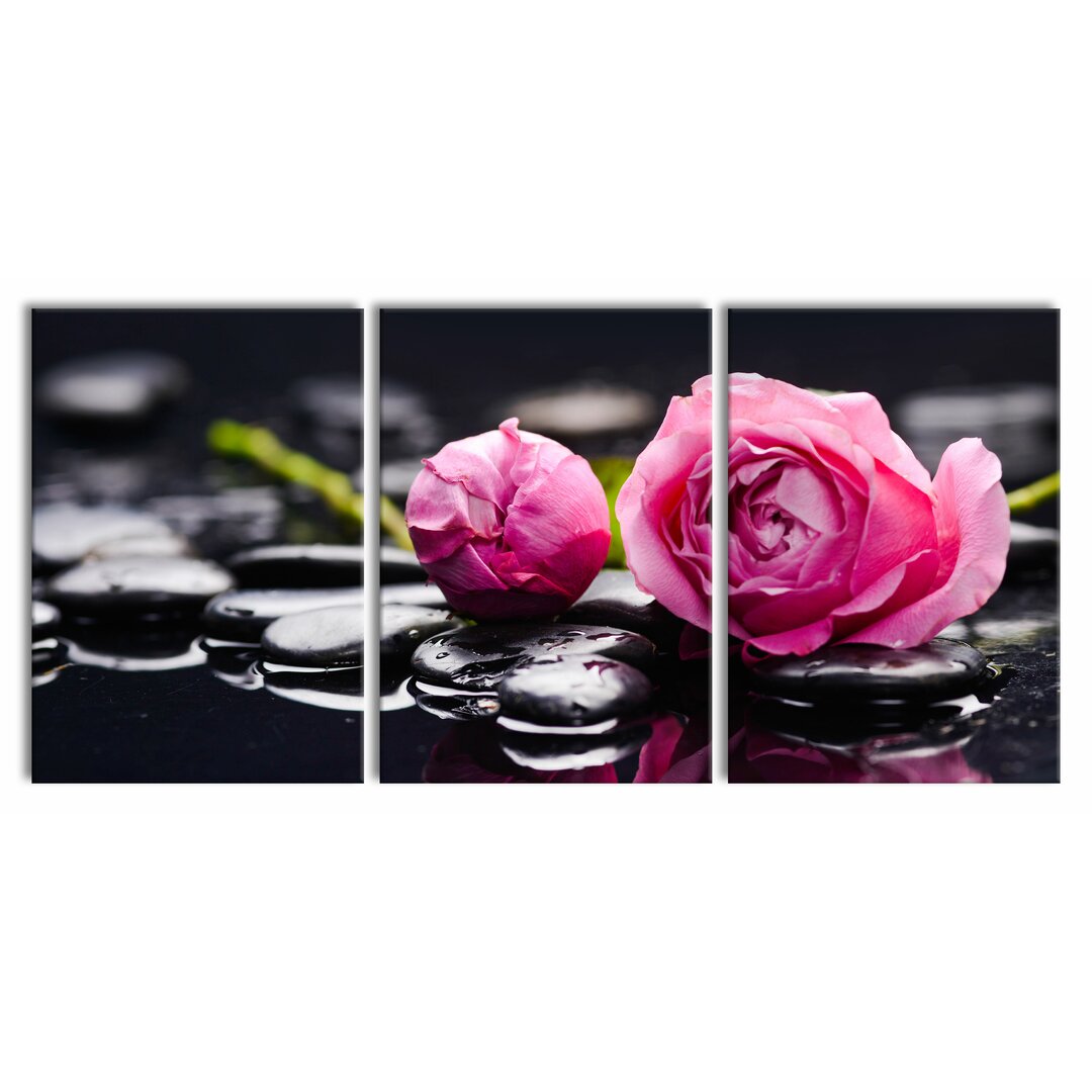 3-tlg. Leinwandbilder-Set Pink Rose Blossoms with Background