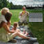 Floral Machine Printed 182cm X 274cm Indoor / Outdoor Area Rug
