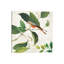 Singing Bird I 1 Piece Wrapped Canvas Wall Art-64539923