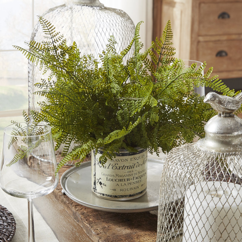 Fausse fougère dans un vase en verre