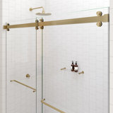 Polaris 60 in. x 78 in. Fully Frameless Sliding Bypass Shower Door