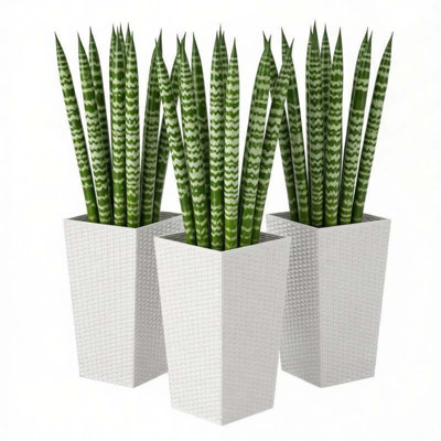 Plants Box Set of 3,Tall Planters Box,Plant Pots
