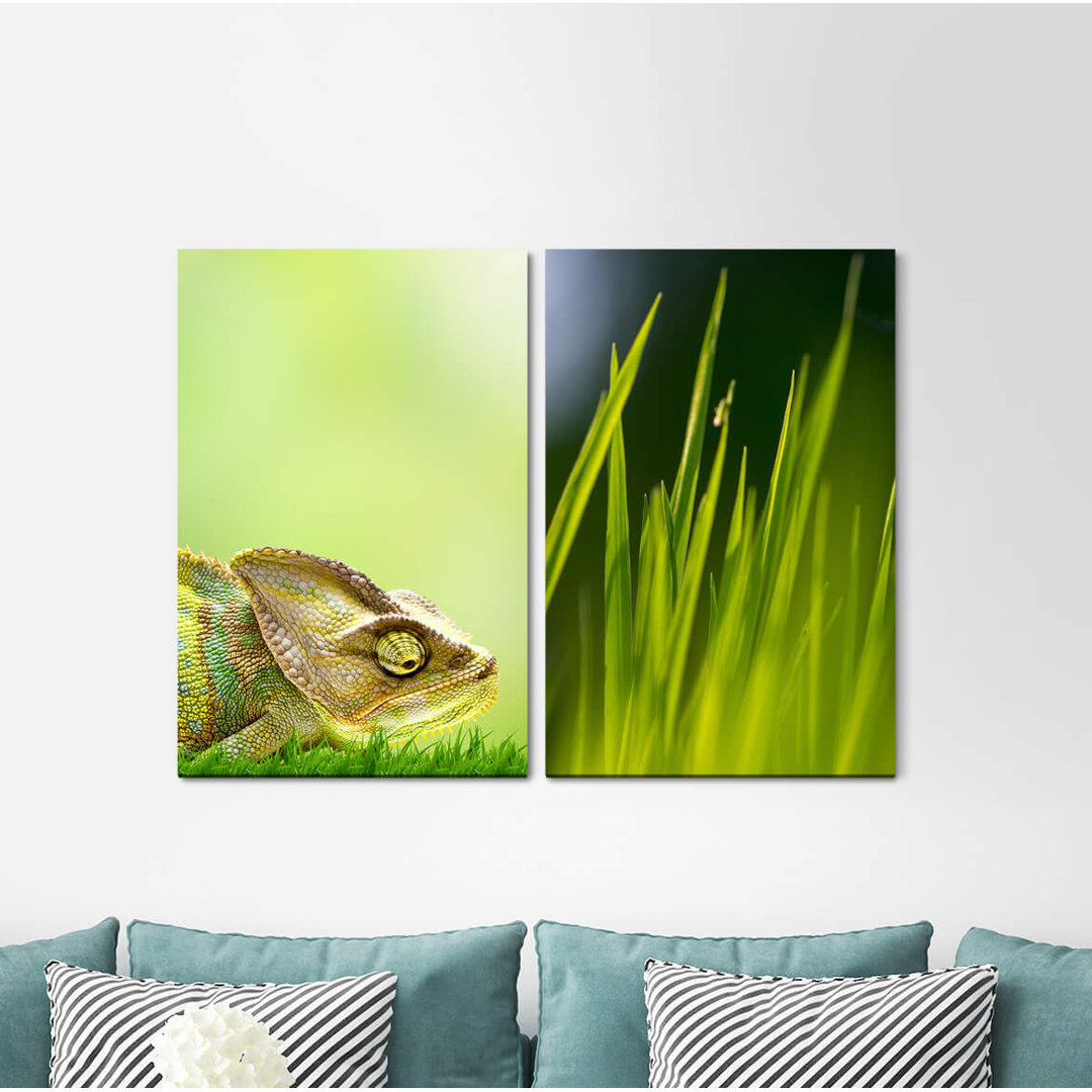 2-tlg. Leinwandbilder-Set - Fotografie „Chameleon Green Blades of Grass Grass Meadow Fresh”