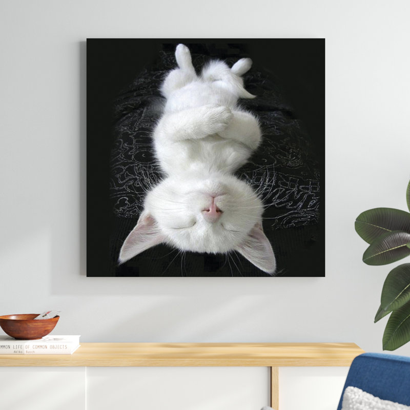 Cat Yoga III, H 36 po x l 36 po