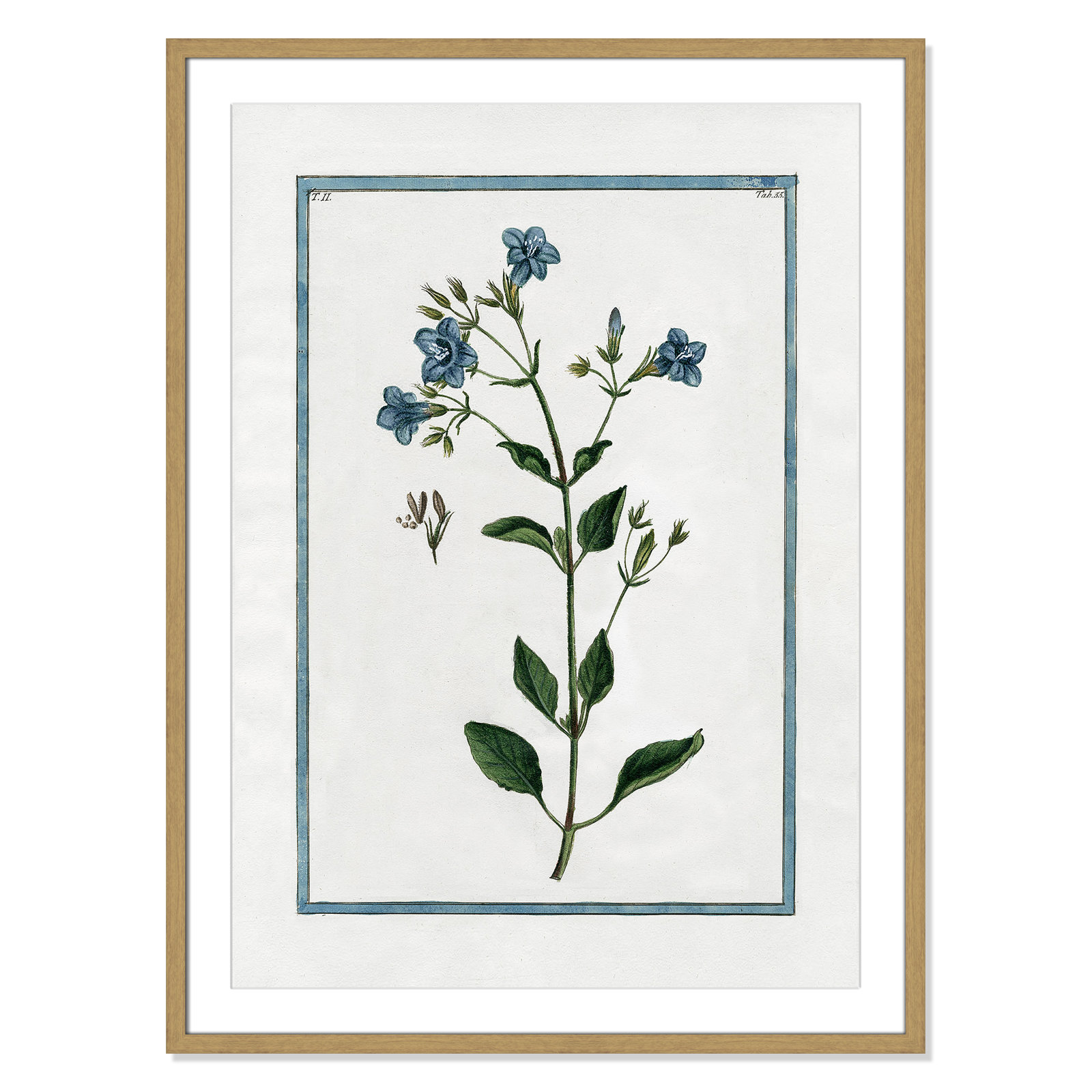 Shabby Elegance Botanical II - Framed Art, 25.5" W x 35.5" H, Natural Framed