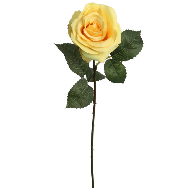 Tige de roses Amaia Sunny Radiance