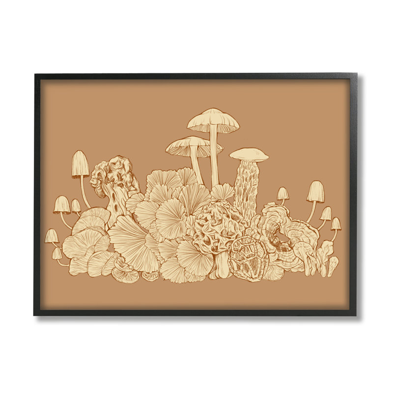 Champignons complexes de la forêt, Giclée encadrée noir minuit, H 11 po x l 14 po x P 1,5 po