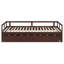 Lit de jour extensible avec couchette, lit de jour en bois avec couchette, espresso (VIEUX SKU: WF194887AAP)-719157337
