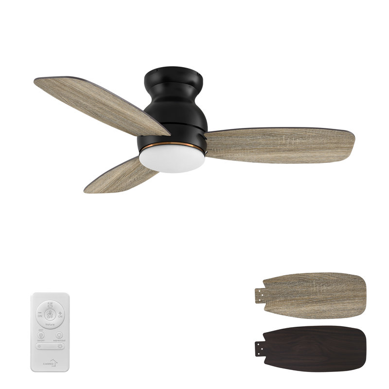 Vant 44'' Ceiling Fan with LED Lights, Black