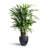 Windrim Black Fiberstone Handmade Pot Planter - Dia 20"-1765606689-1765606683