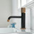 Single-Hole Bathroom Faucet-53000738