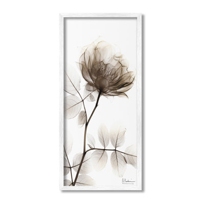ContemporaryX-RayFlowerGicleeArtbyAlbertKoetsier
