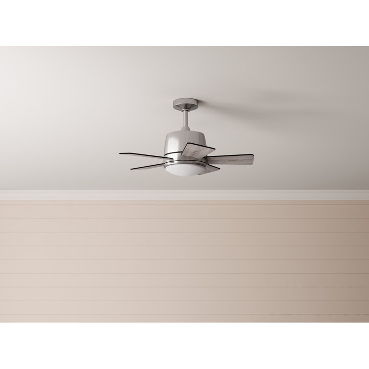 Inlight 30" Integrated LED Indoor Ceiling Fan with Light and Remote, IN-0715-1-MD