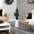 Sansevieria Artificial Plant