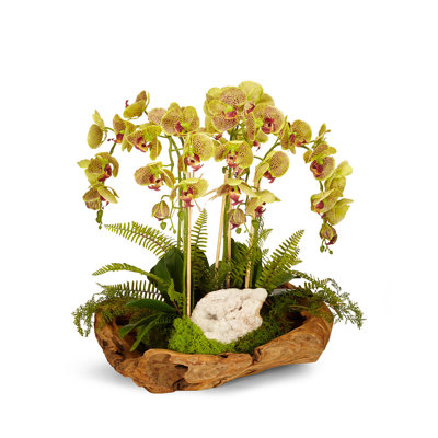 Orchid Centerpiece in Planter