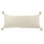 Oreiller 100% coton 14 po x 36 po avec fermeture à glissière 14 po-99457668