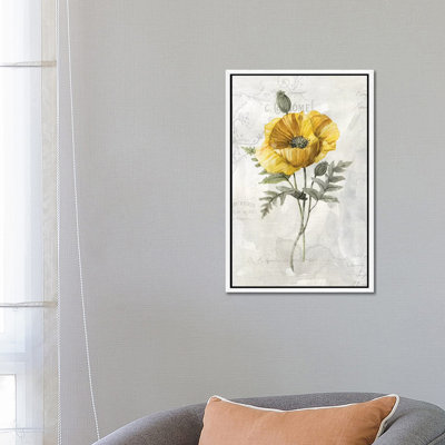 Canary Linen Poppy by Carol Robinson - Print on Canvas