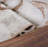 Damian Brown/Beige Rug-1616163433