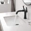 Robinet pour salle de bain à poignée double-107559451