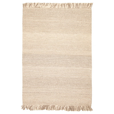 Arjae Performance Hand Braided Wool Rug
