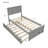 Unadilla Daybed with Trundle Bed-772618009
