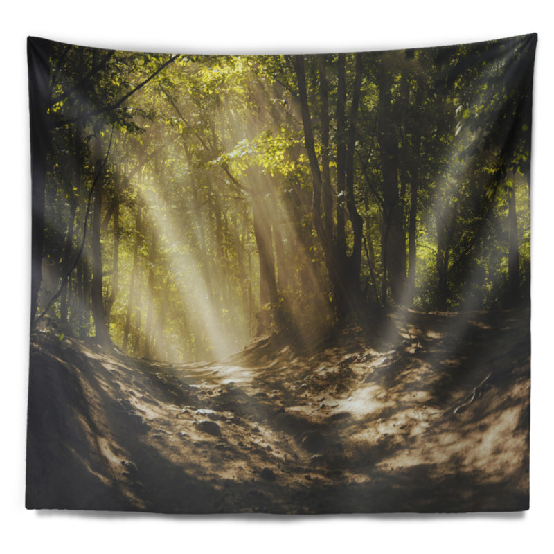 Sun Rays à travers la tapisserie des arbres verts, H 32 po x l 39 po