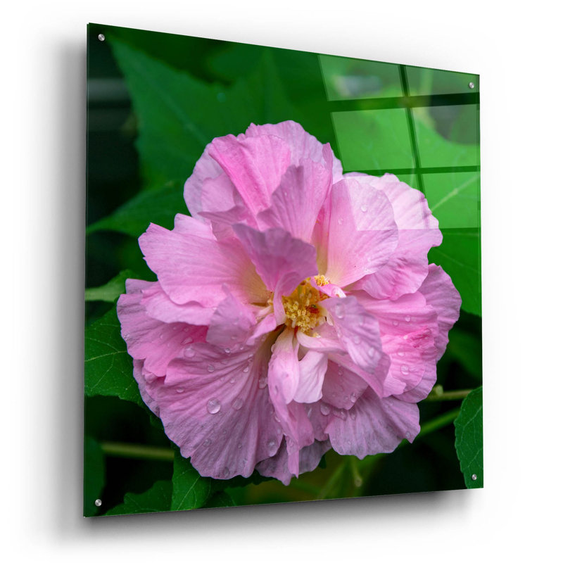 'Flower' by Epic Portfolio, Acrylic Glass Wall Art, 36" H x 36" W x 0.2" D