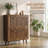 Modern Shoe Cabinet