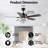 Alfair 52 " Ceiling Fan
